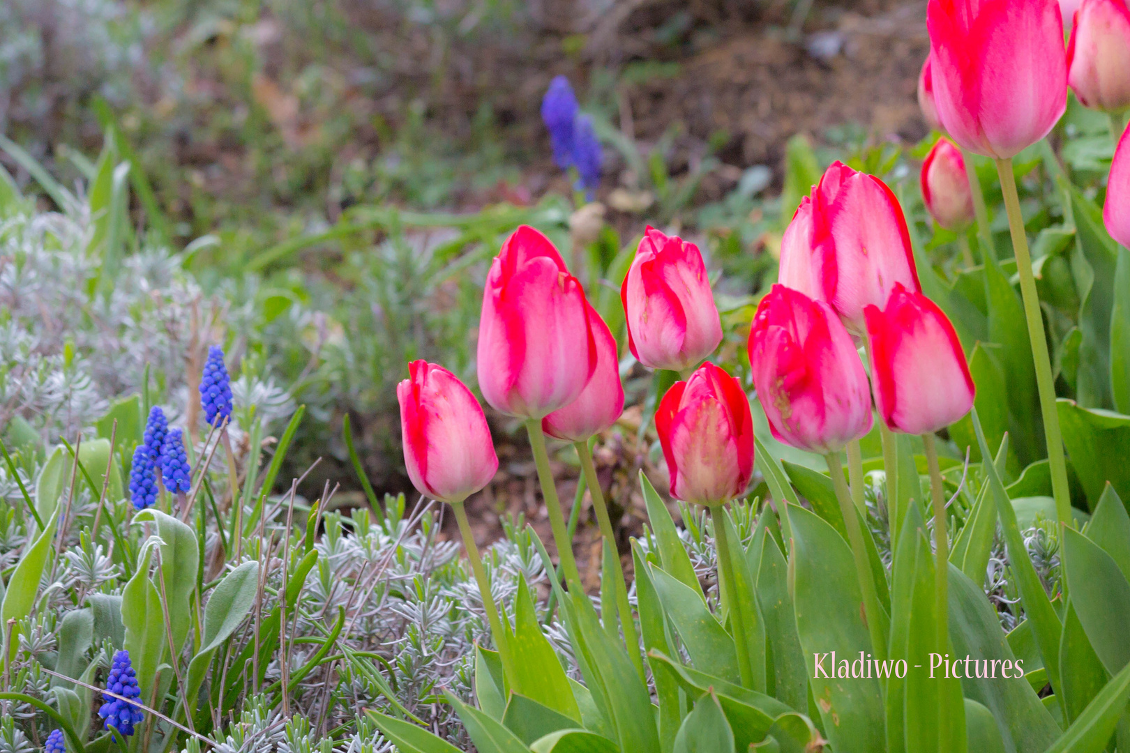 Frühling 14