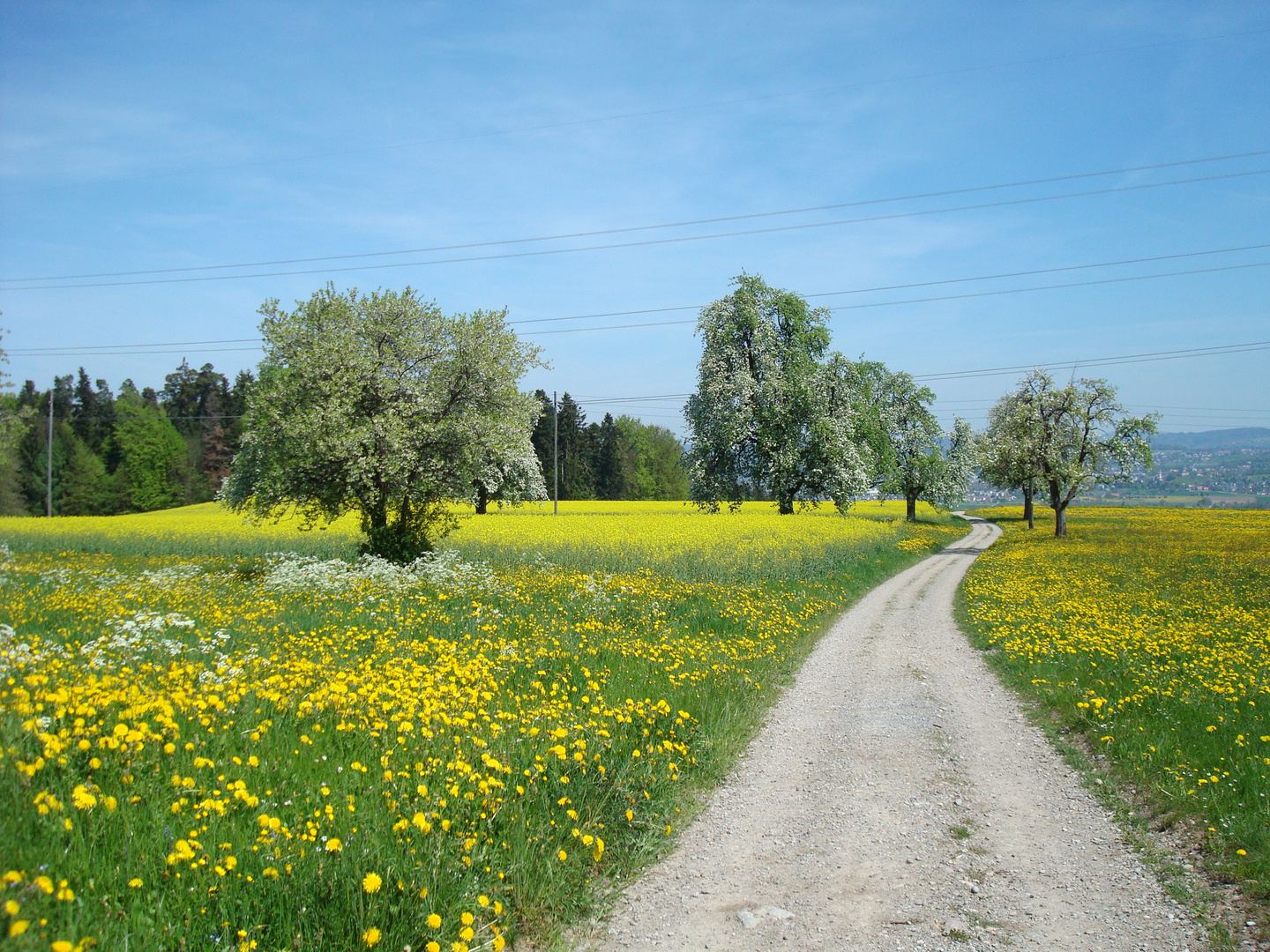 Frühling