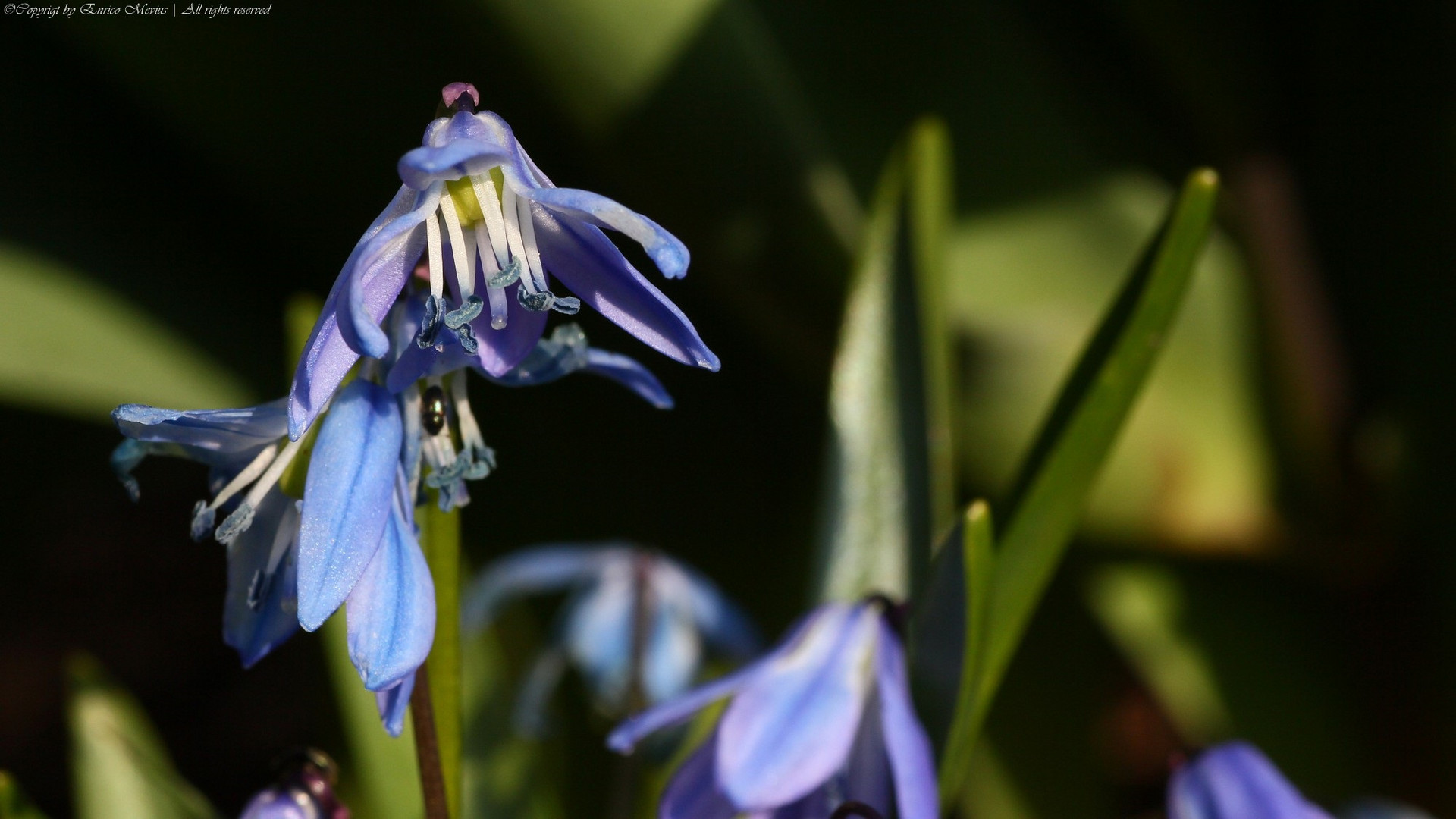 Frühling 15