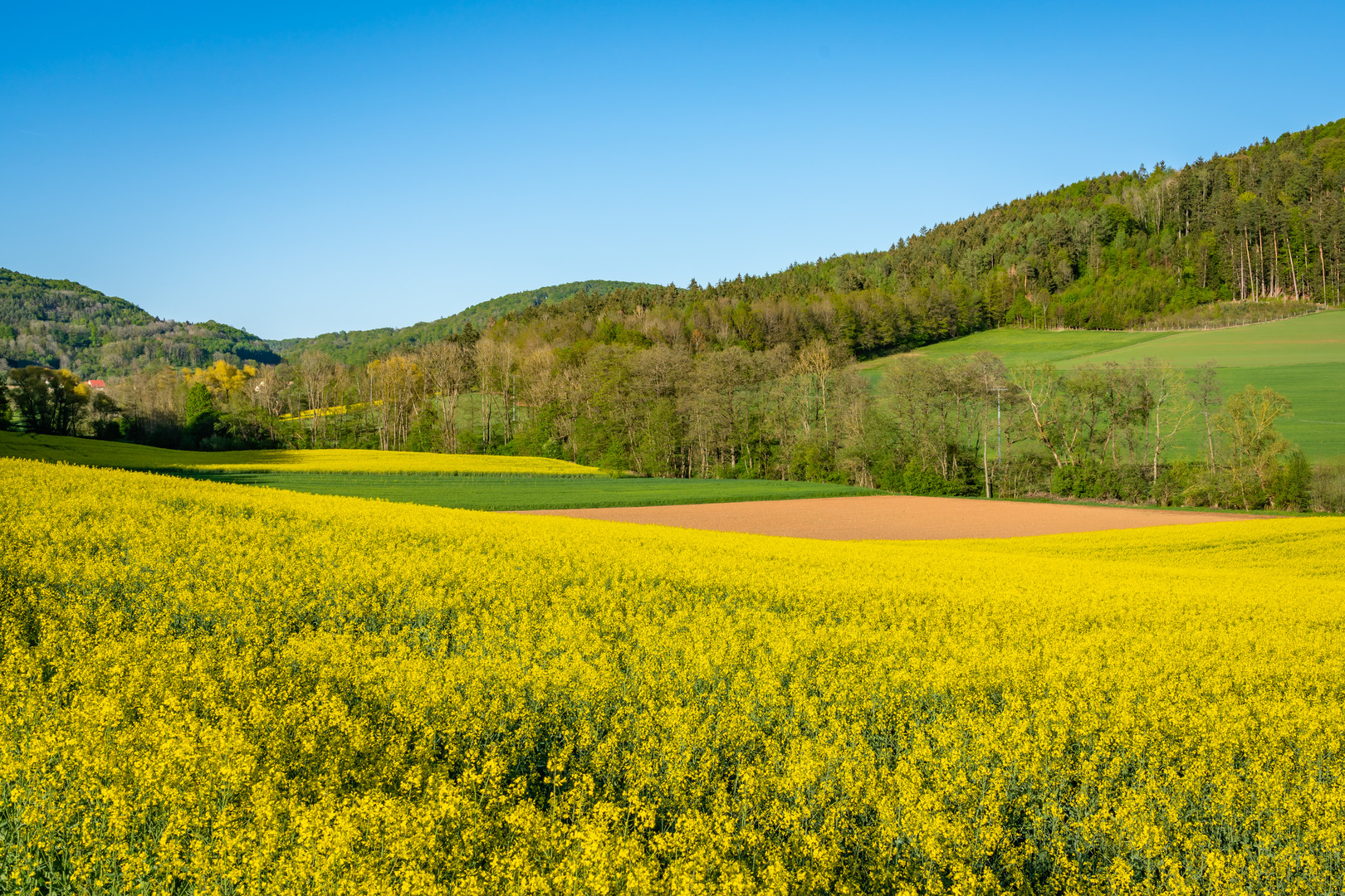 Frühling