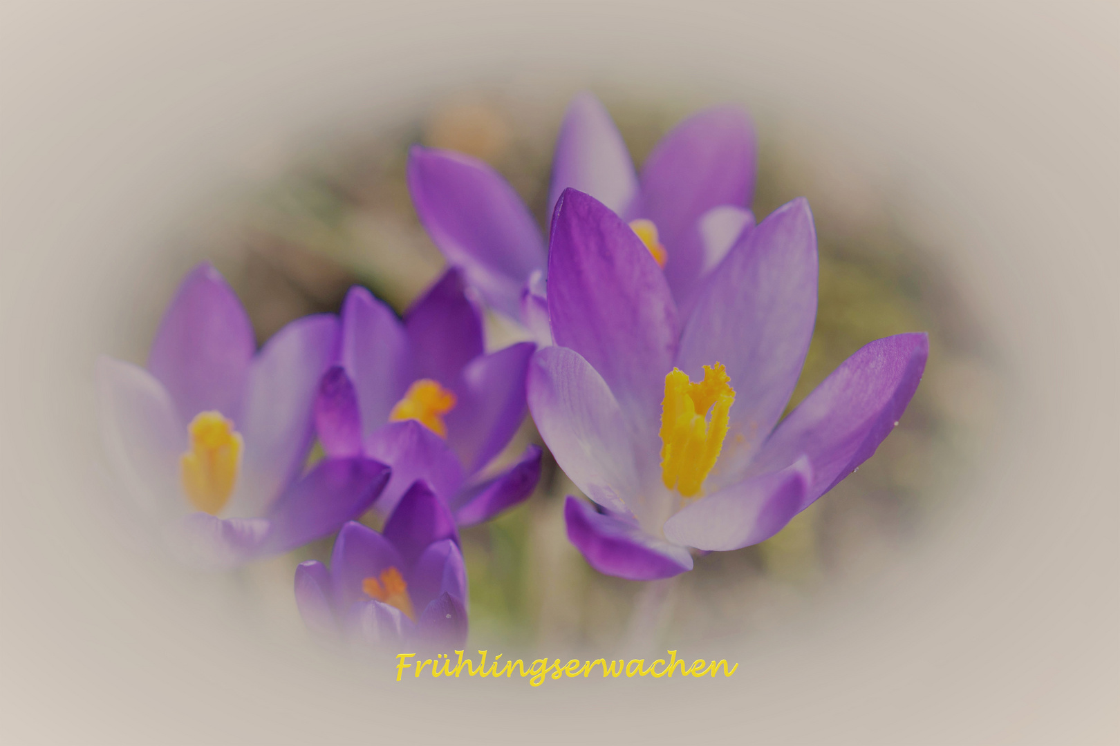 Frühling