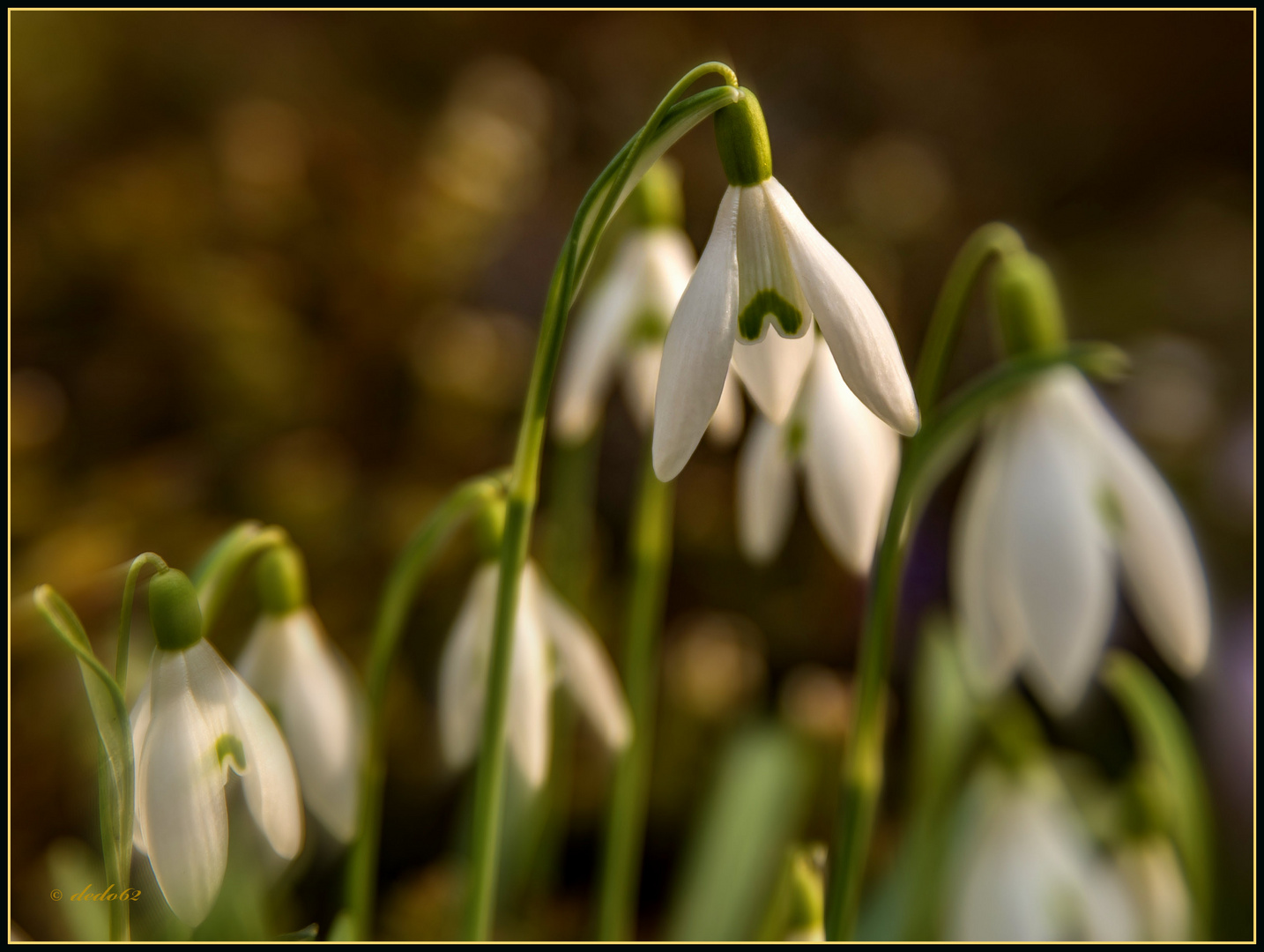 Frühling 17