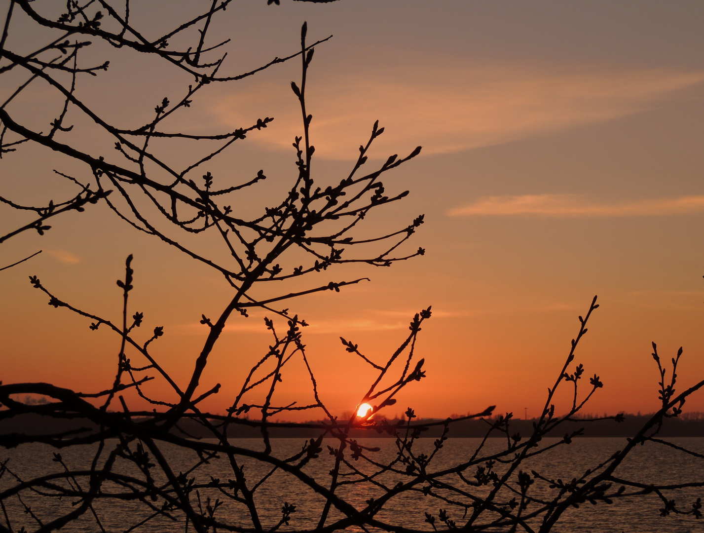 Frühling