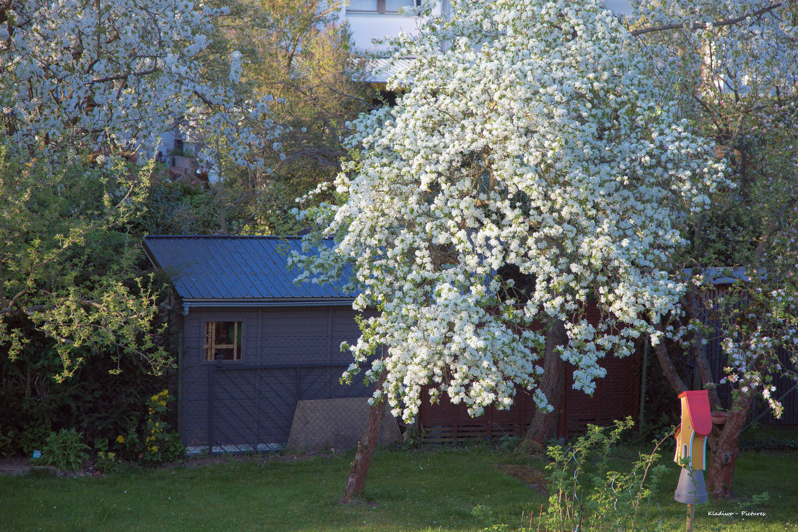 Frühling 18