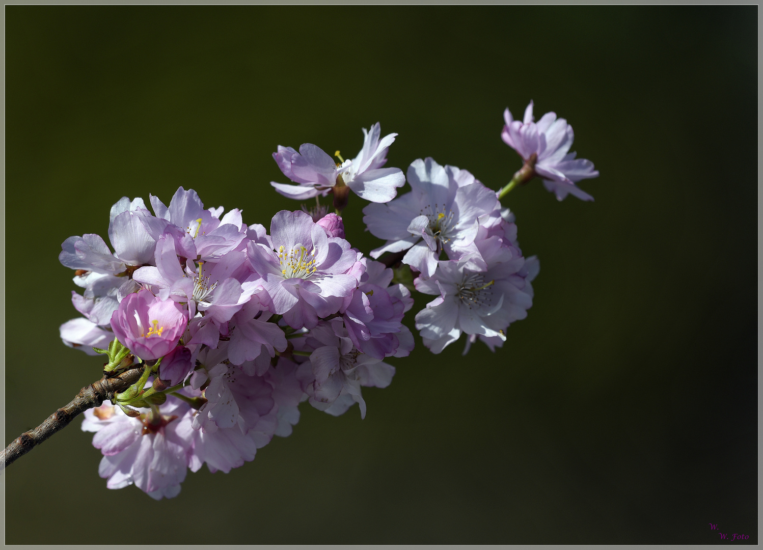 Frühling