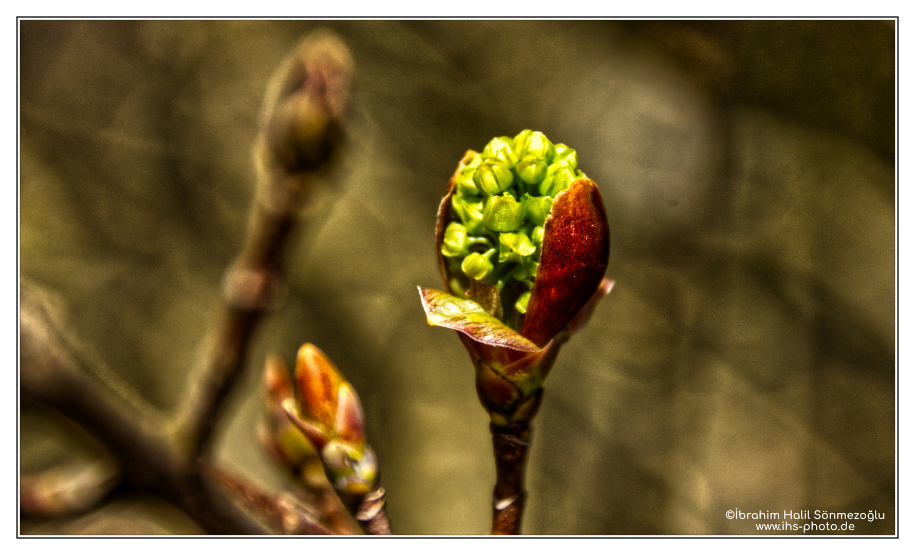 Frühling