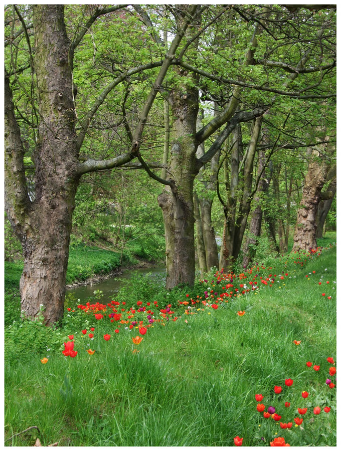 Frühling