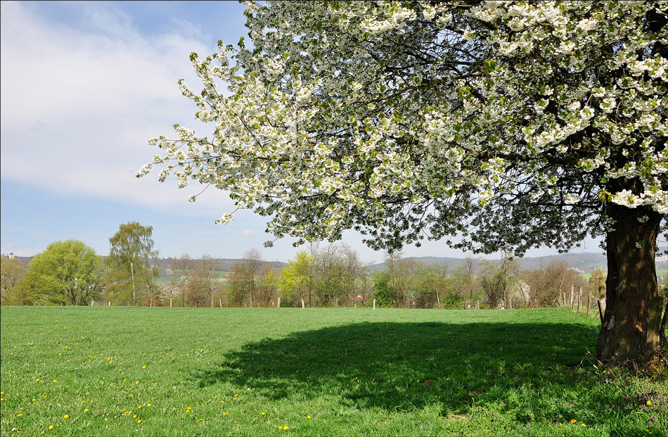 Frühling...