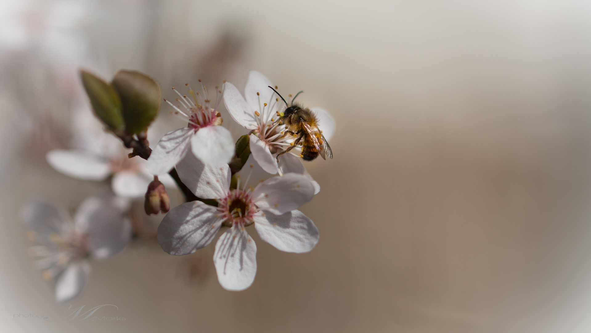 Frühling