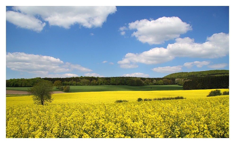 Frühling