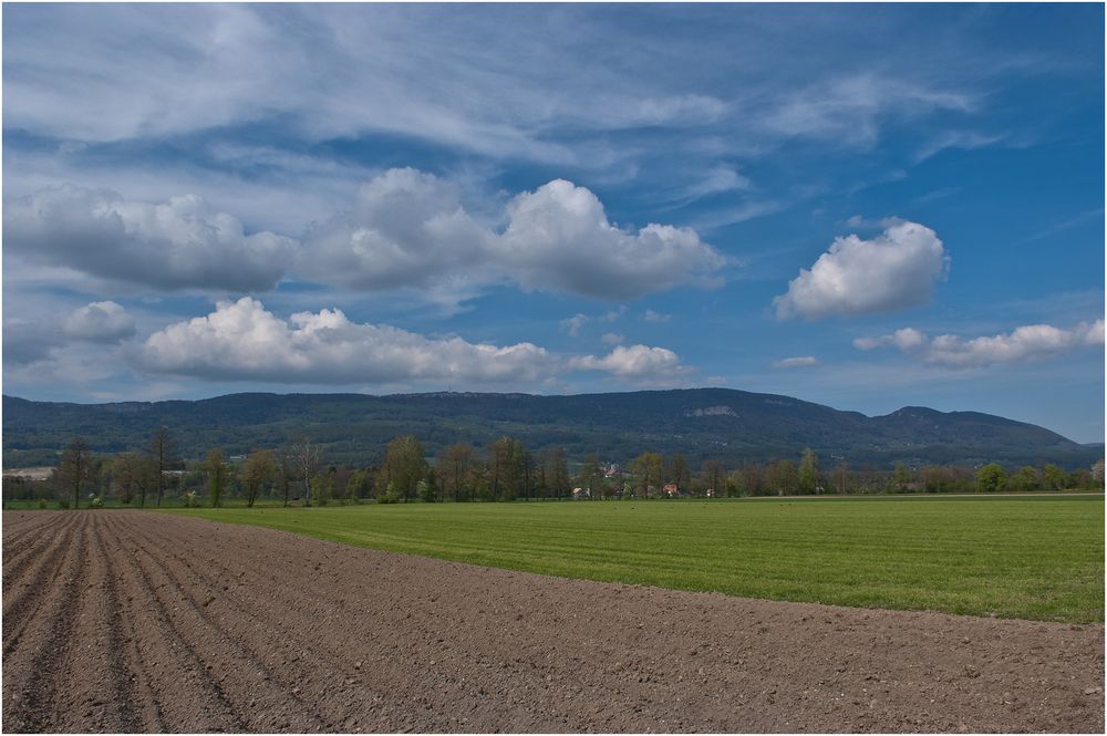 Frühling