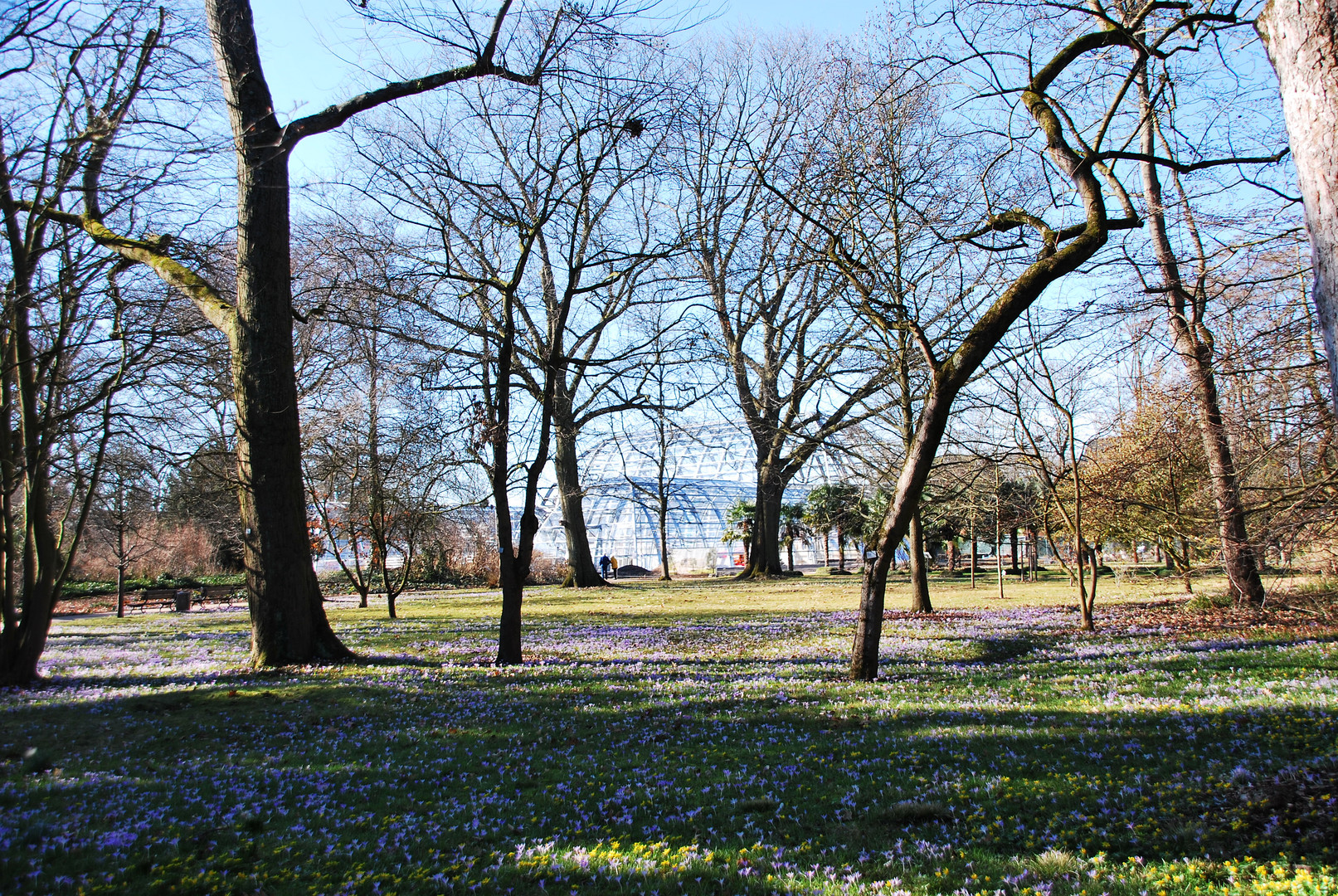 Frühling