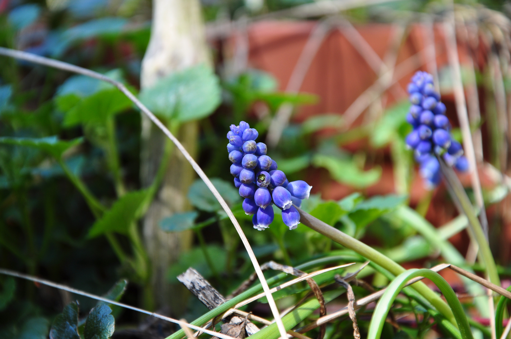 Frühling