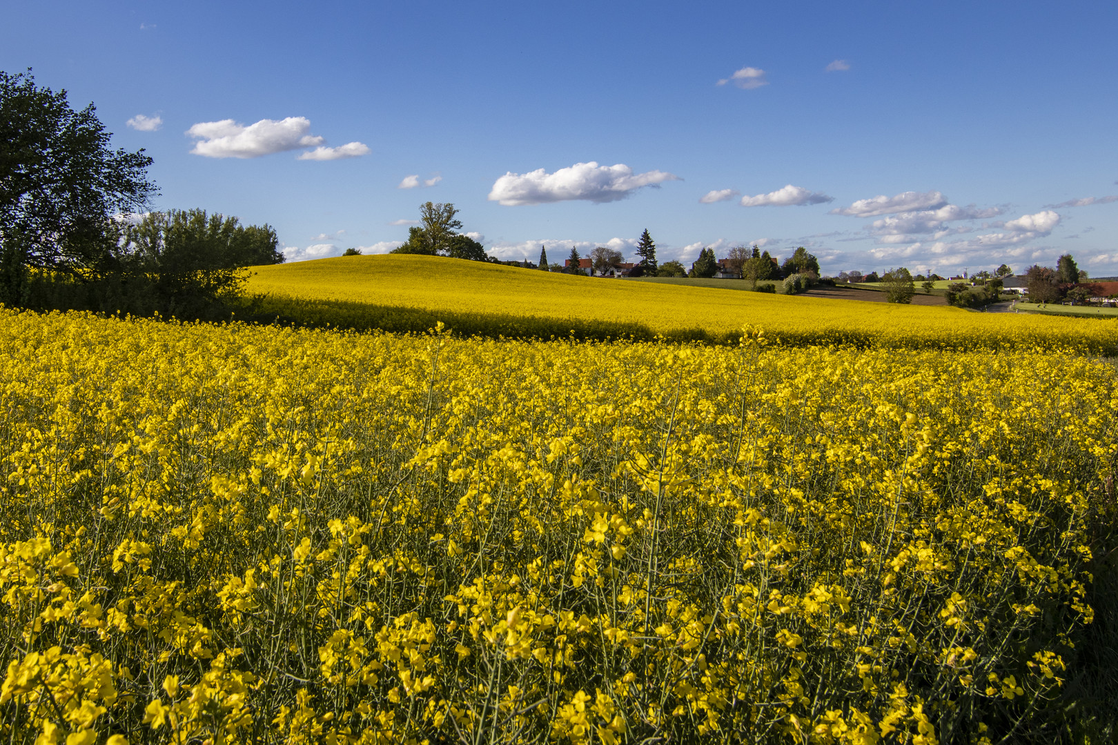 Frühling