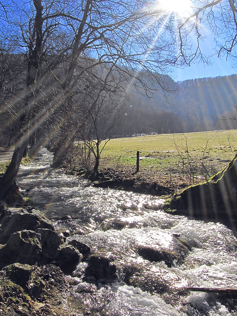 Frühling