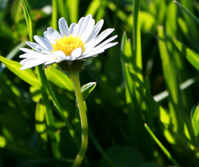 frühling.