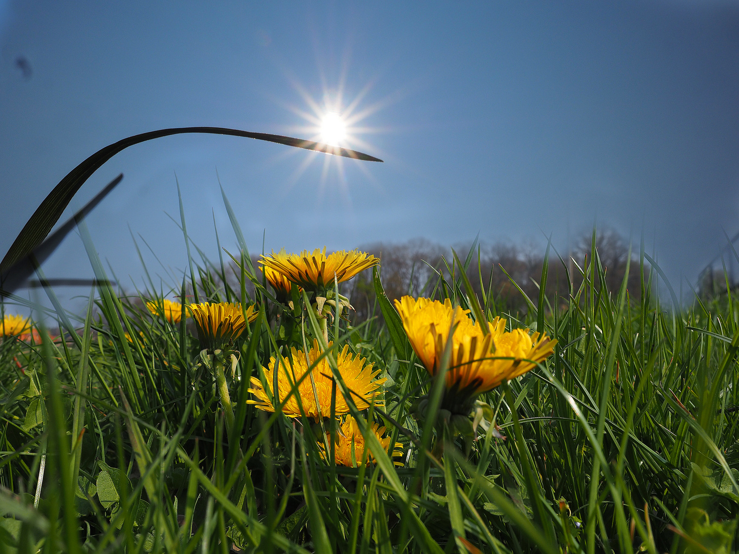 Frühling