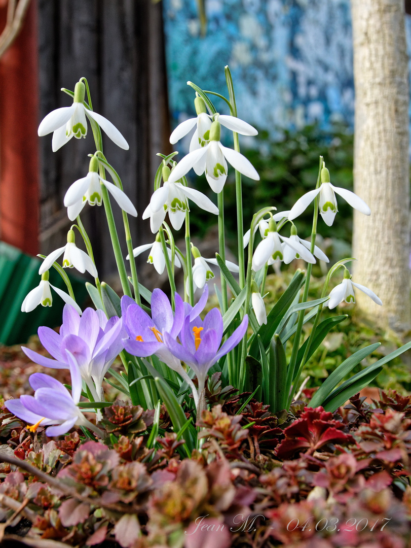 Frühling