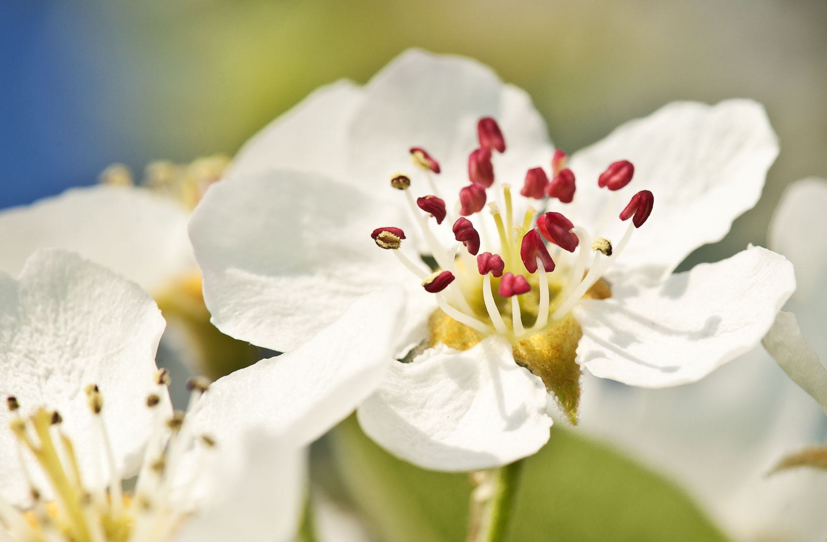 Frühling