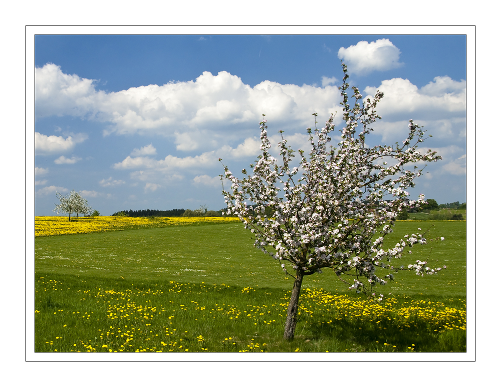 Frühling