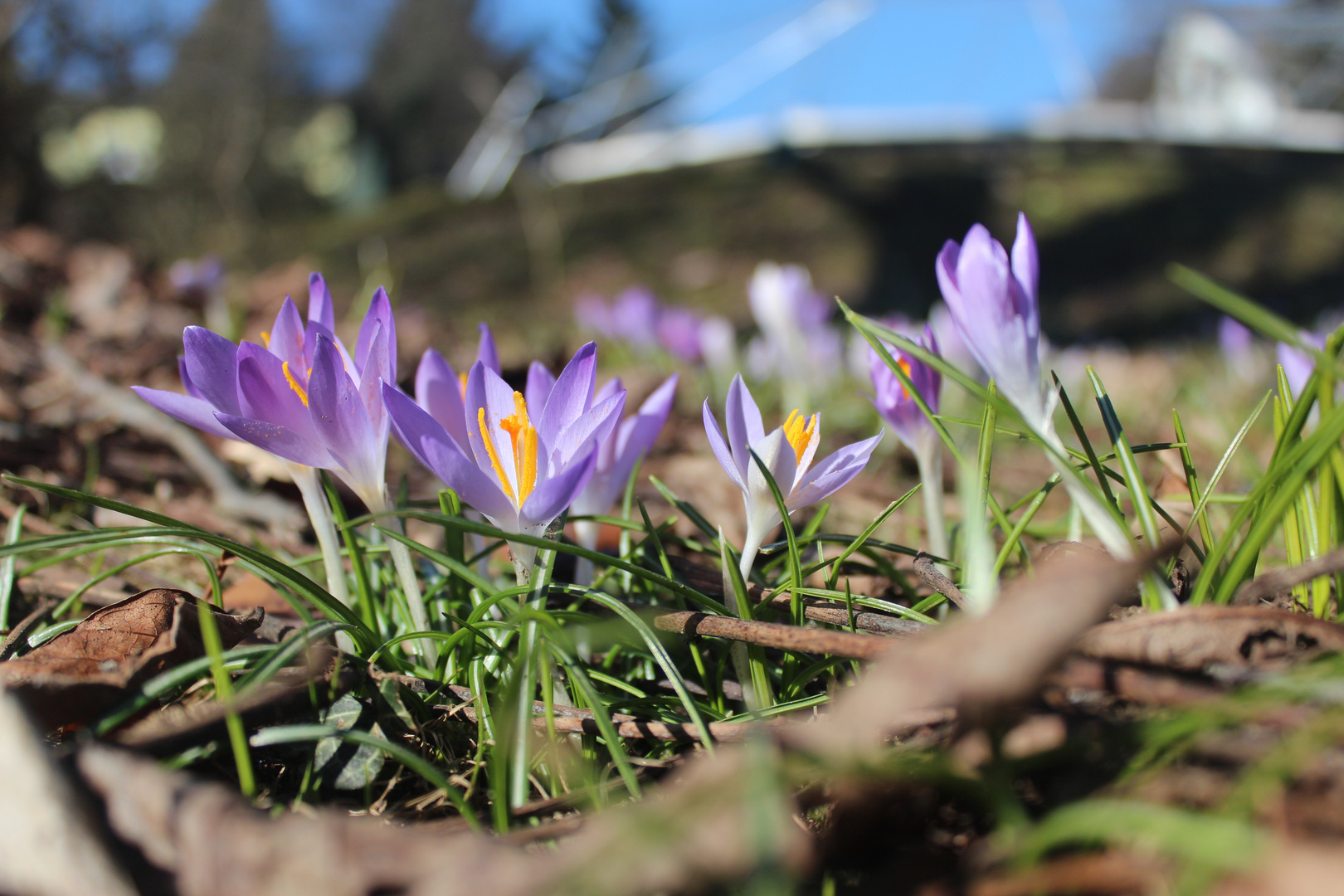 Frühling