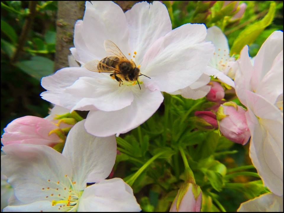 Frühling 