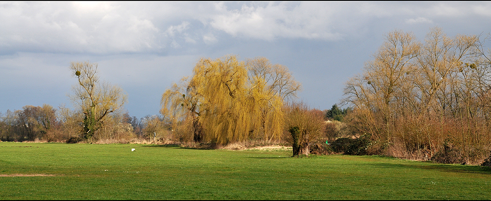 Frühling