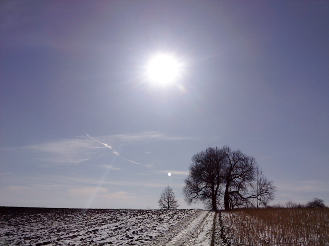 Frühling