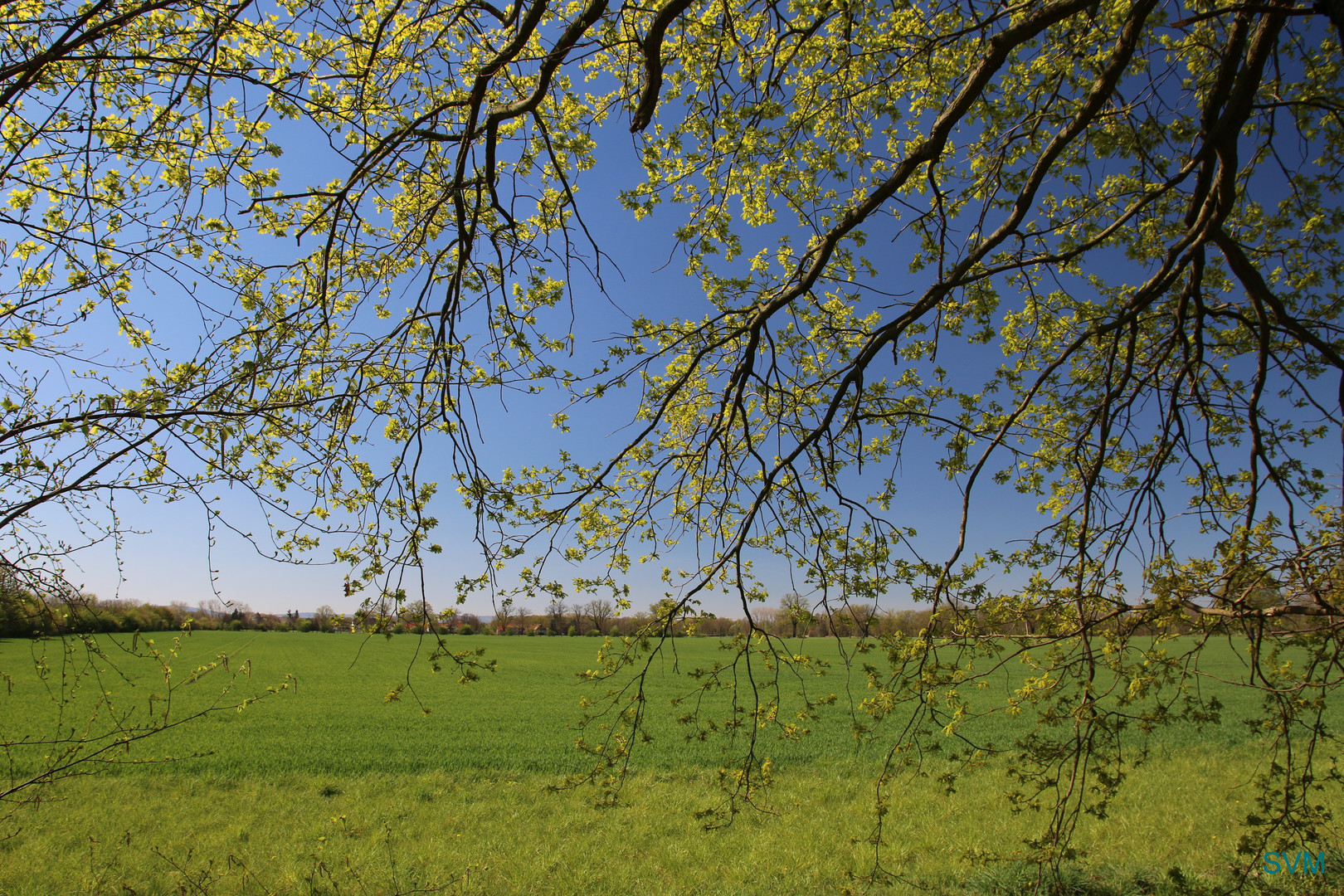 Frühling