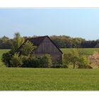 Frühling 2