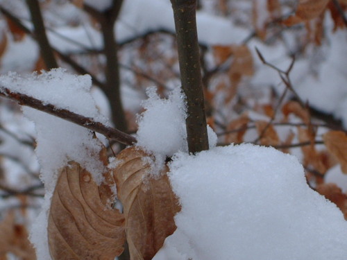 Frühling 2006