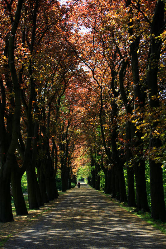 frühling 2007 - 3