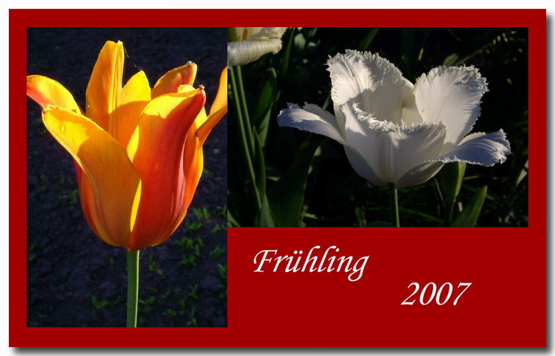 Frühling 2007