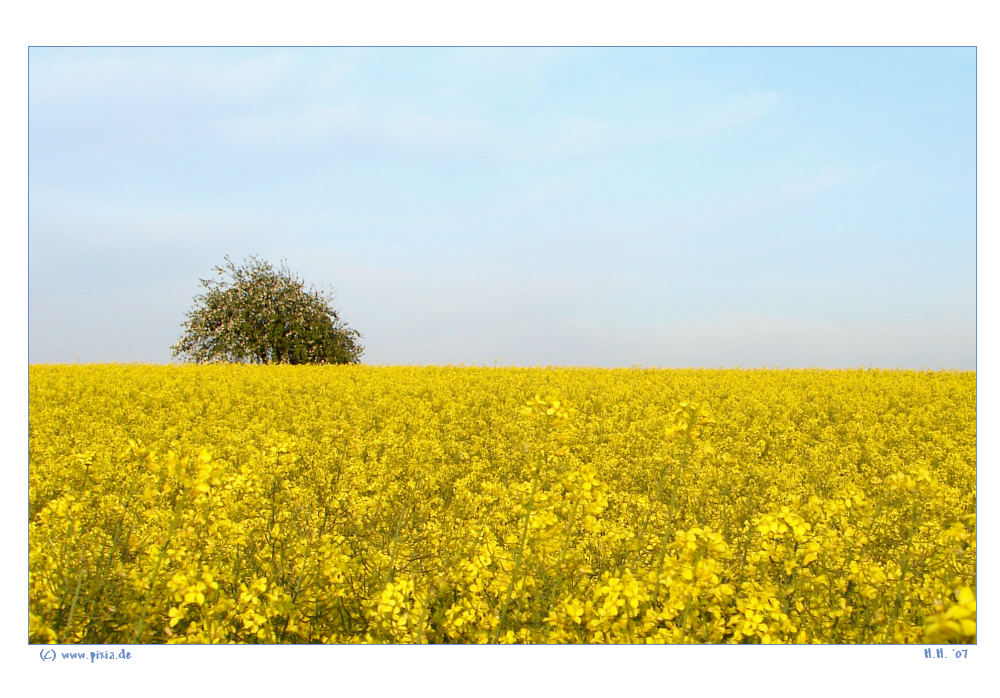 Frühling 2007...