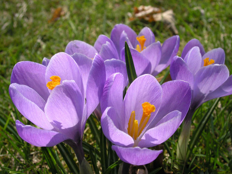 Frühling 2007