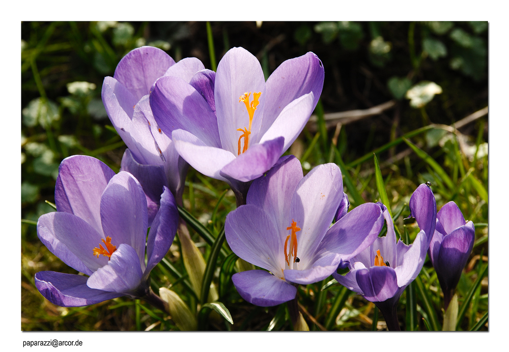 Frühling 2008