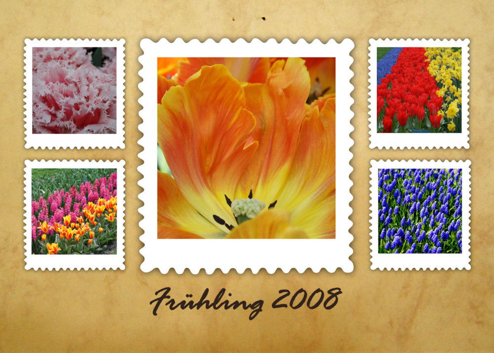 Frühling 2008