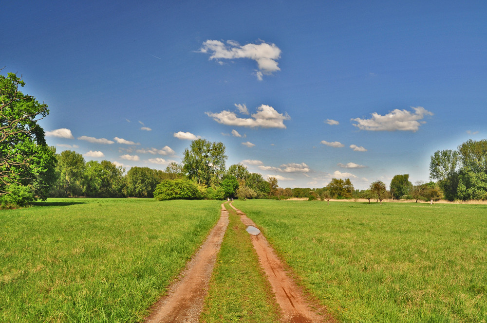 Frühling 2009