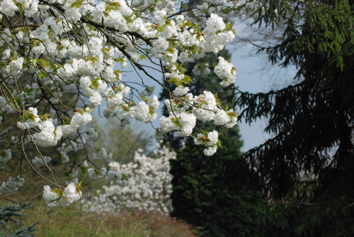 frühling 2010