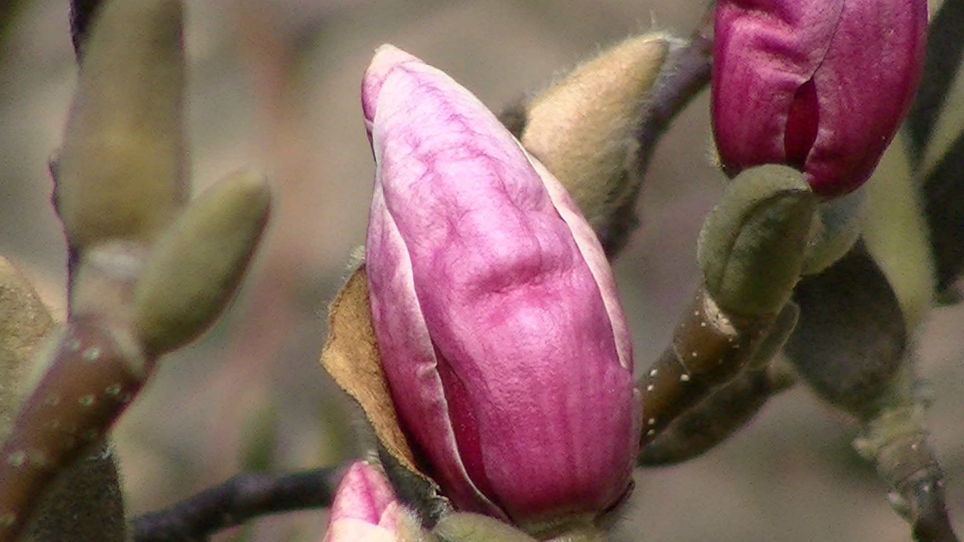 Frühling 2010