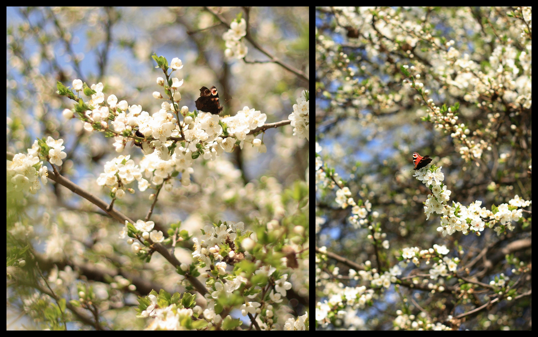 Frühling 2010