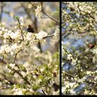 Frühling 2010