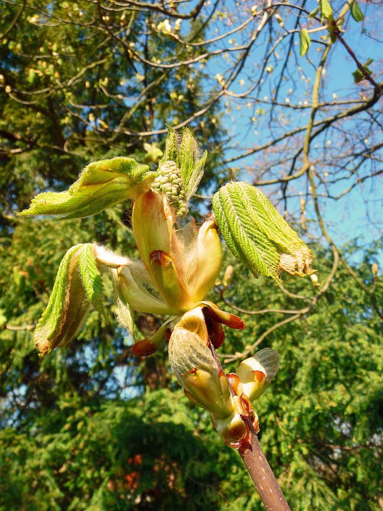 Frühling 2010: Jetzt geht's wirklich los !!!