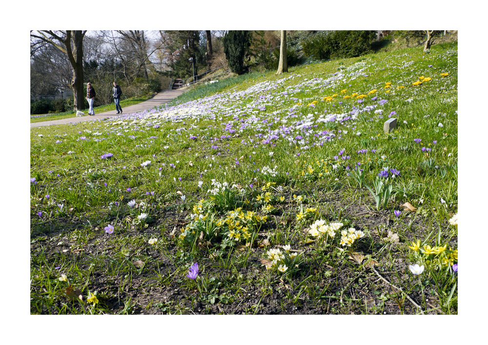 Frühling 2011