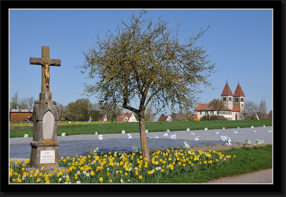 Frühling 2011 auf Reichenau