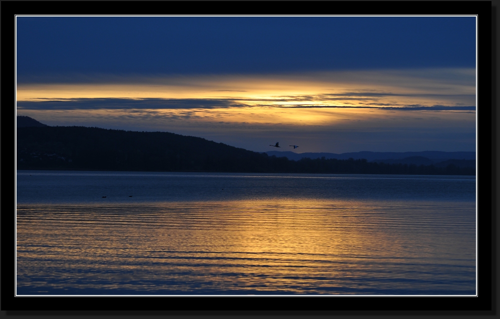 Frühling 2011 auf Reichenau #9