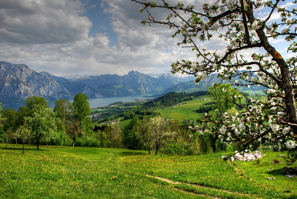 Frühling 2012 - ein kleiner Rückblick.....