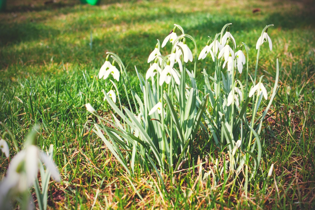 Frühling 2012