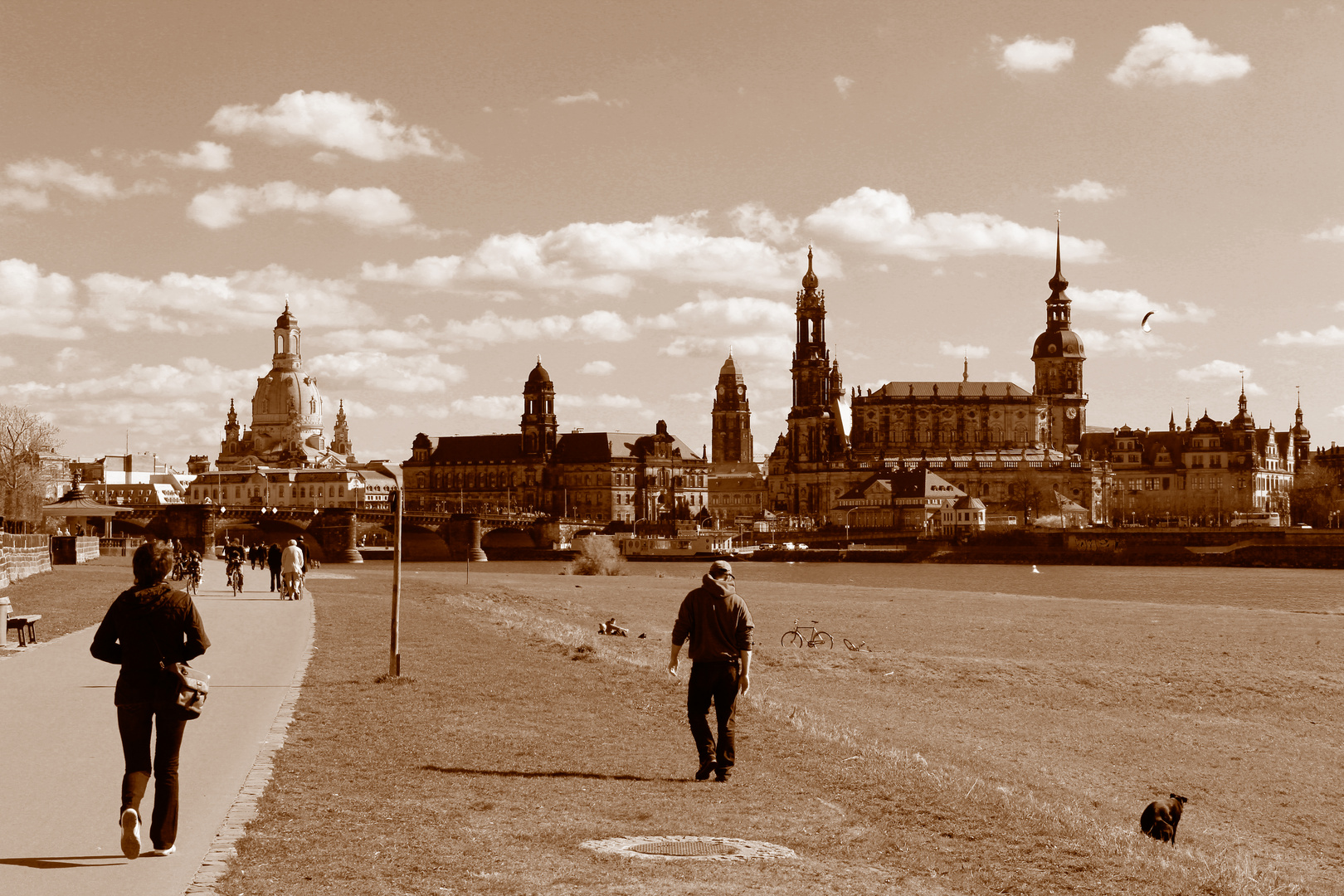 Frühling 2012 in Dresden - SW / Sepia-Bearbeitung