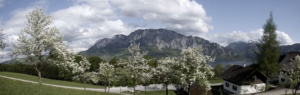 Frühling 2013 am Attersee